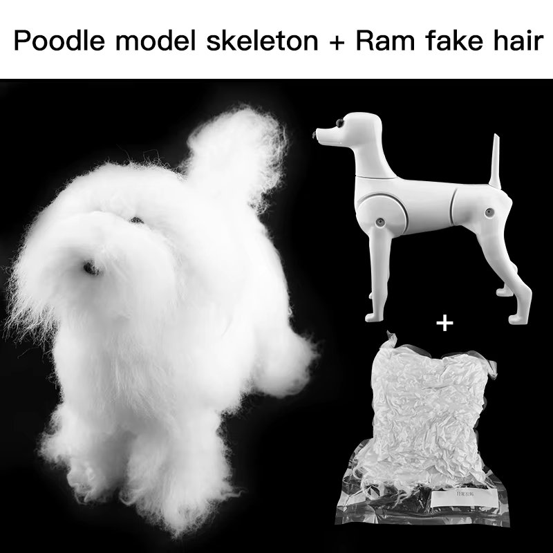 Poodle model hair