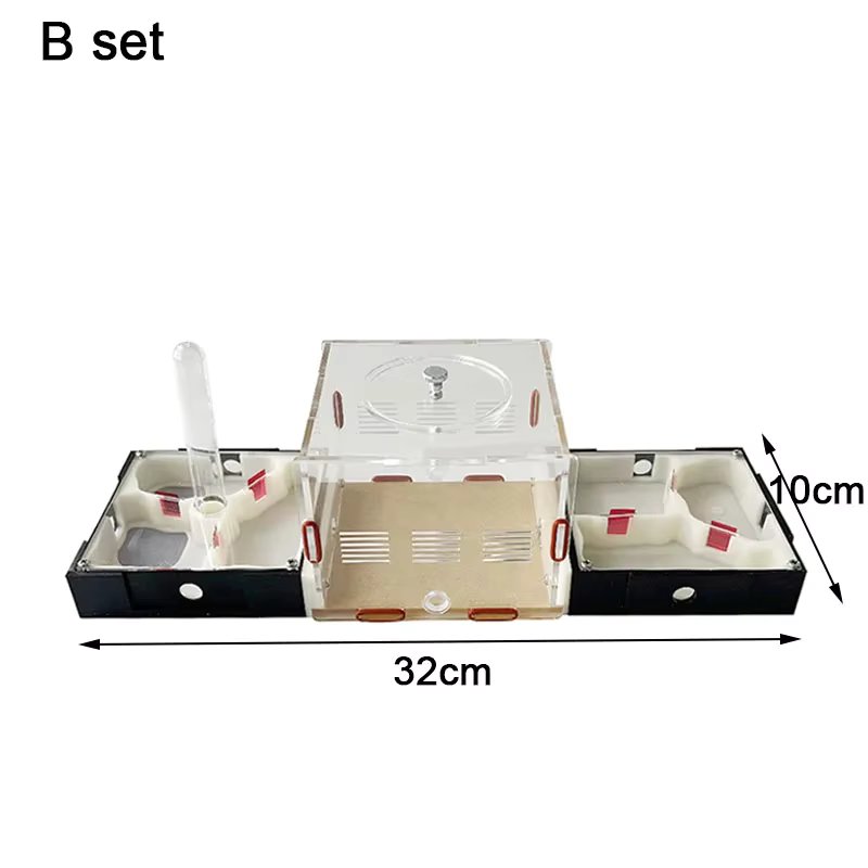 B SET