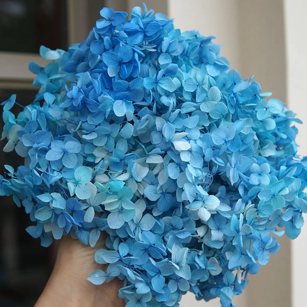 Gradient Color 182