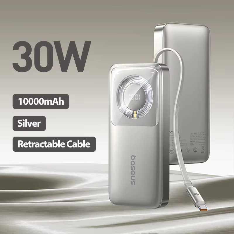 Silver 30W 10000mAh