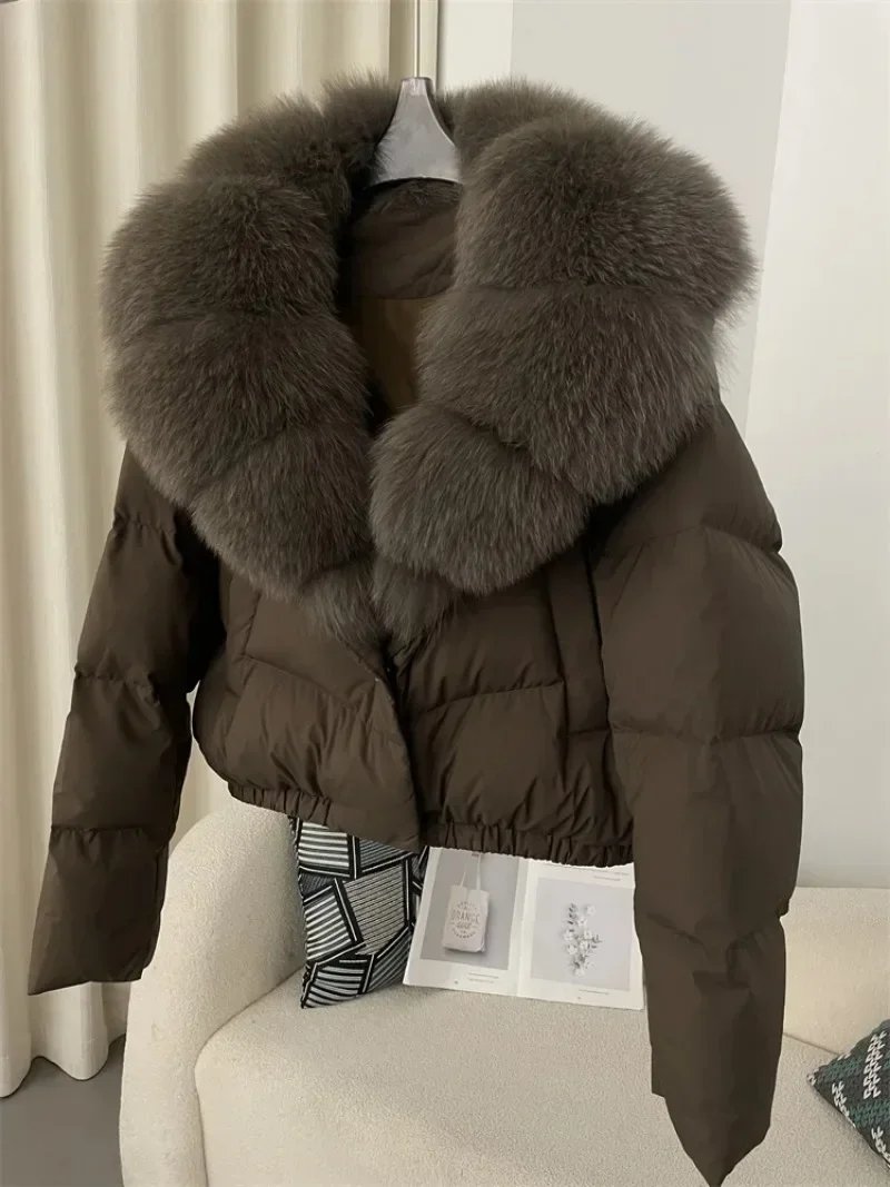 Brown dark grey