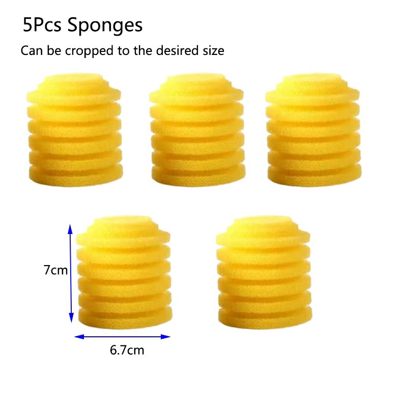 5Pcs Sponge