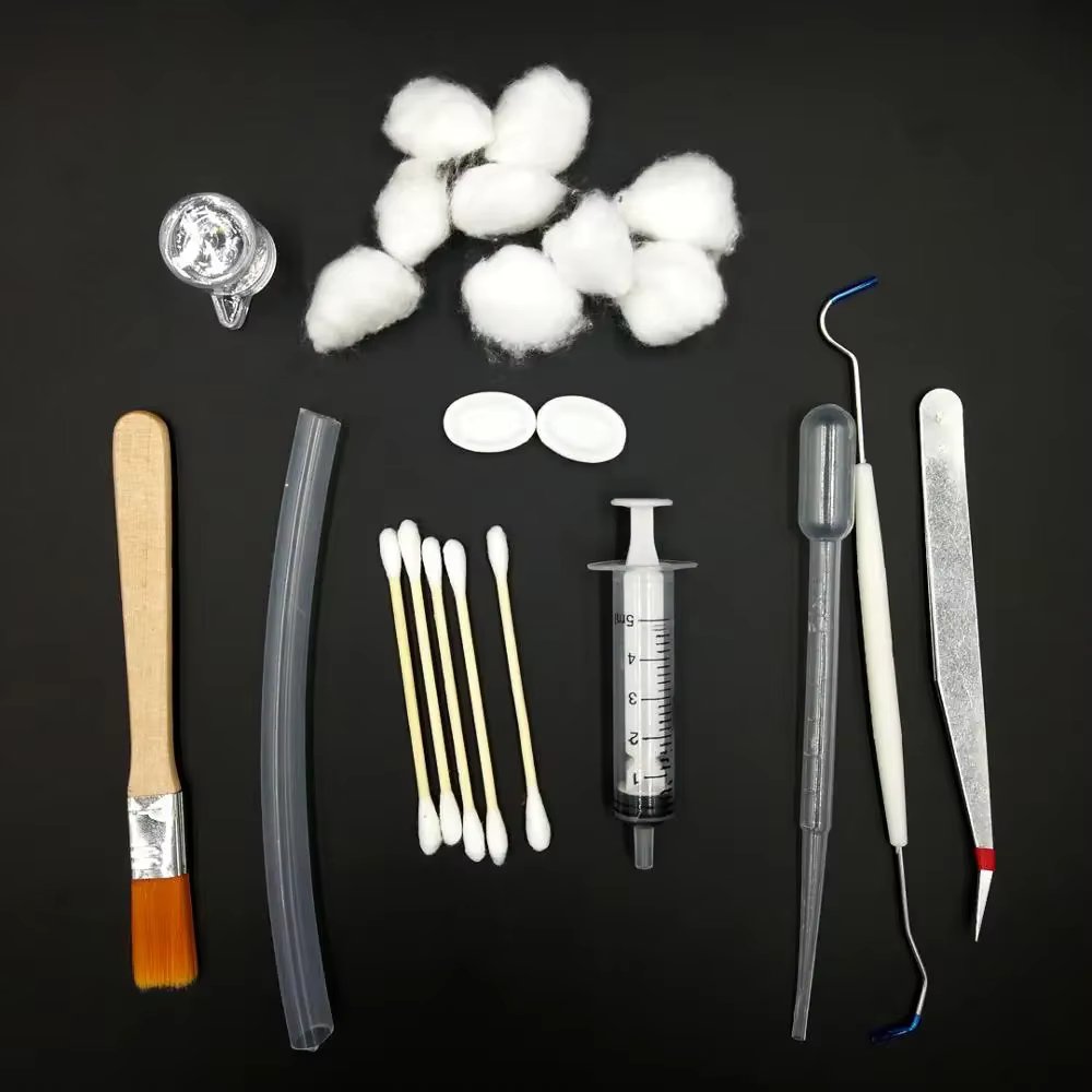 Ant Farm Novice Tools Set with Food Feed Water Bowl for Ant Nest Pet Anthill Toolkit Dropper Channel Hose Ants House Workshop