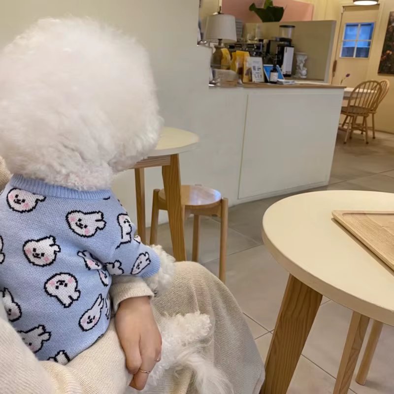 Winter Warm Cute Blue Rabbit Pet Dog Clothes Pet Warm Sweater Teddy Knitted Shirt Dog Two Legs Clothes Pet Supplies XS-XL