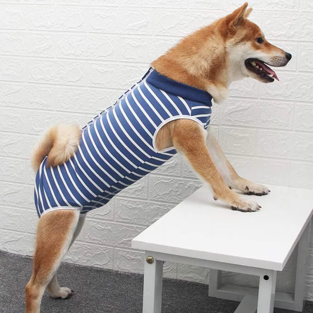 Strips