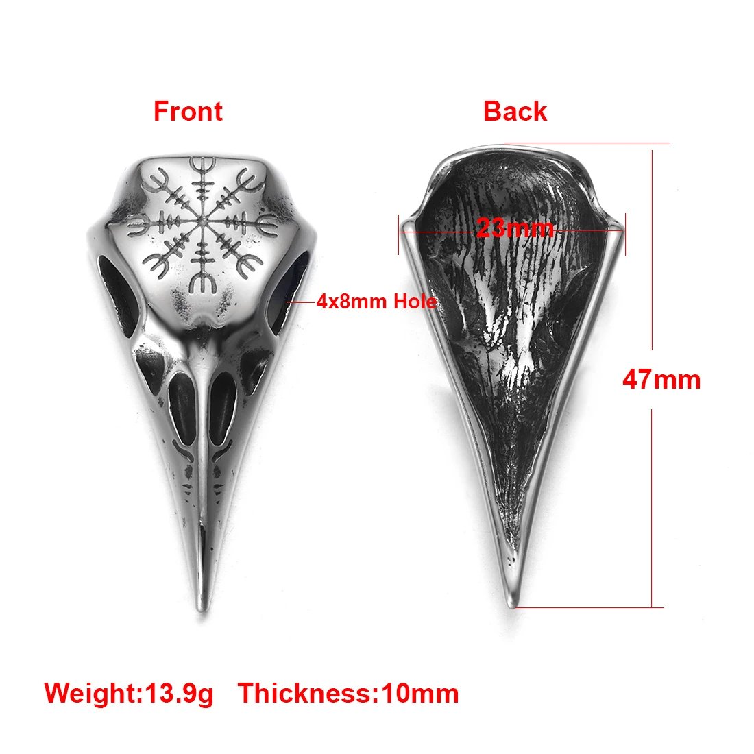Bird Skull
