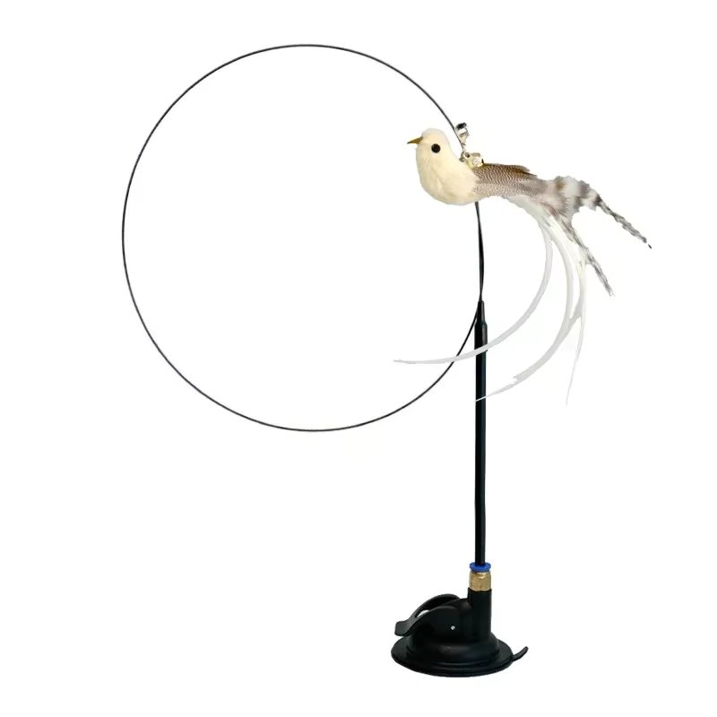 White-Sucker