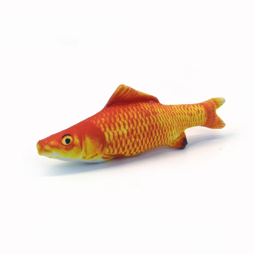 Carp