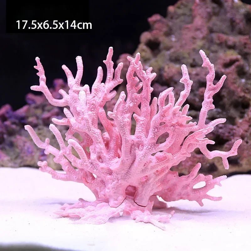 Pink Coral