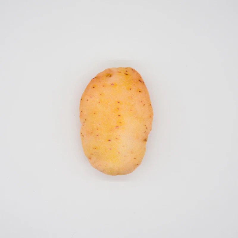 Potato