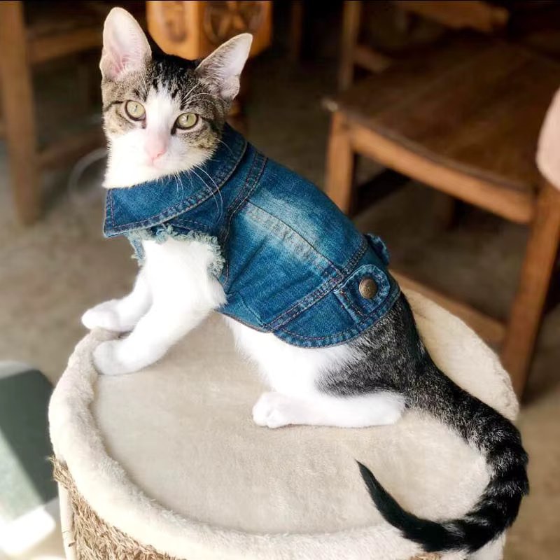 denim cat vest