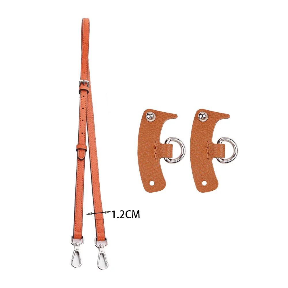 1.2F Carrot Color