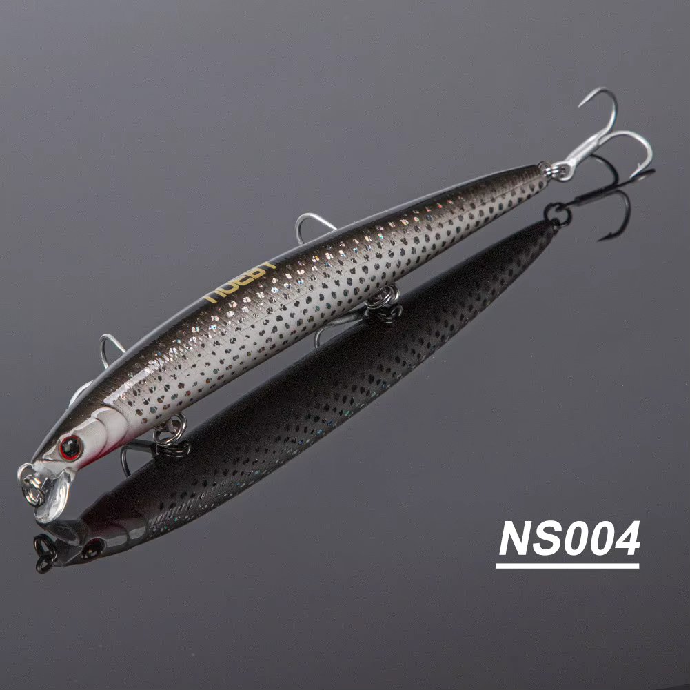 NS004