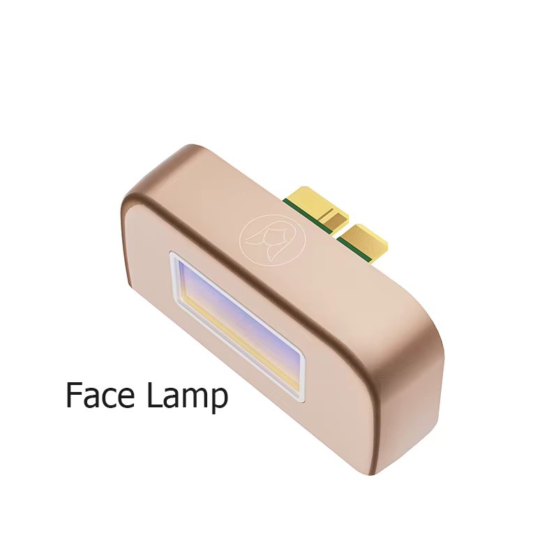FA LAMP