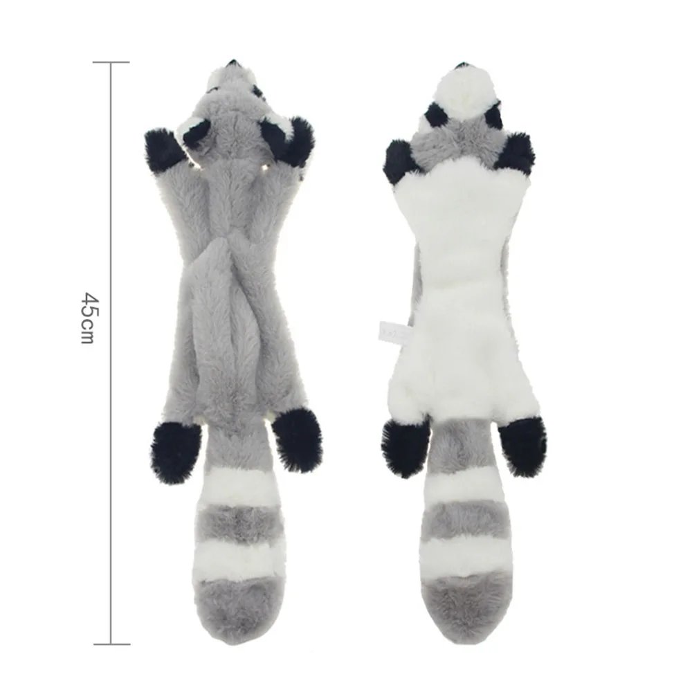 Raccoon 1