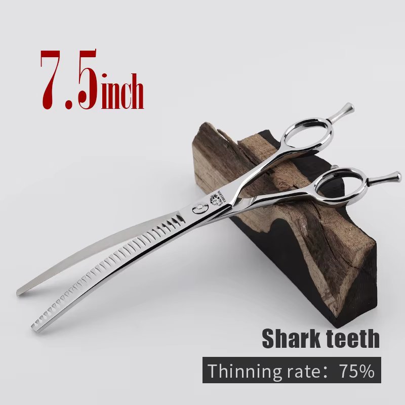 7.5 Curved Shark