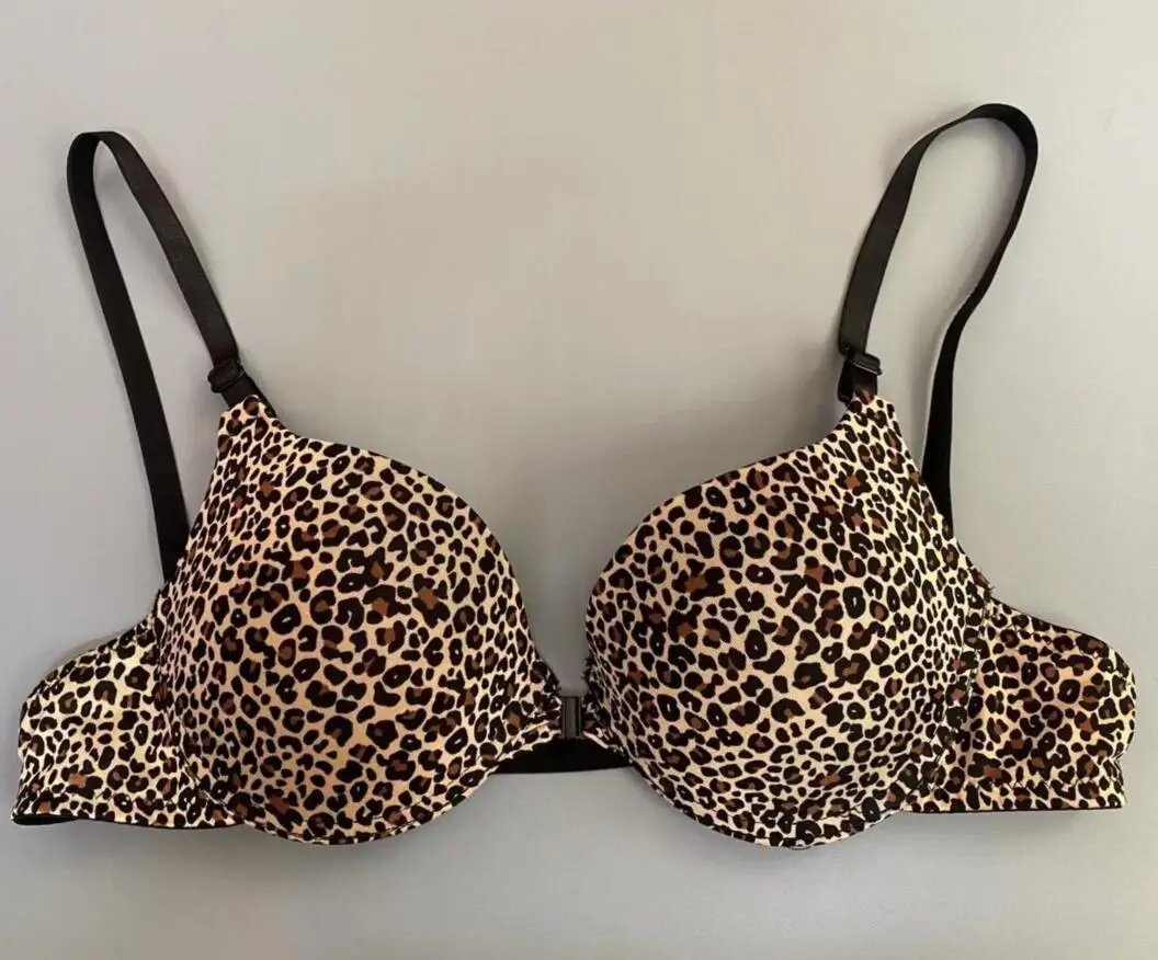 1 leopard