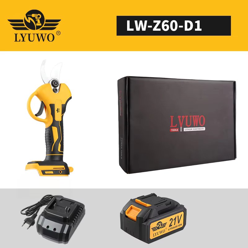 LW-Z60-D1