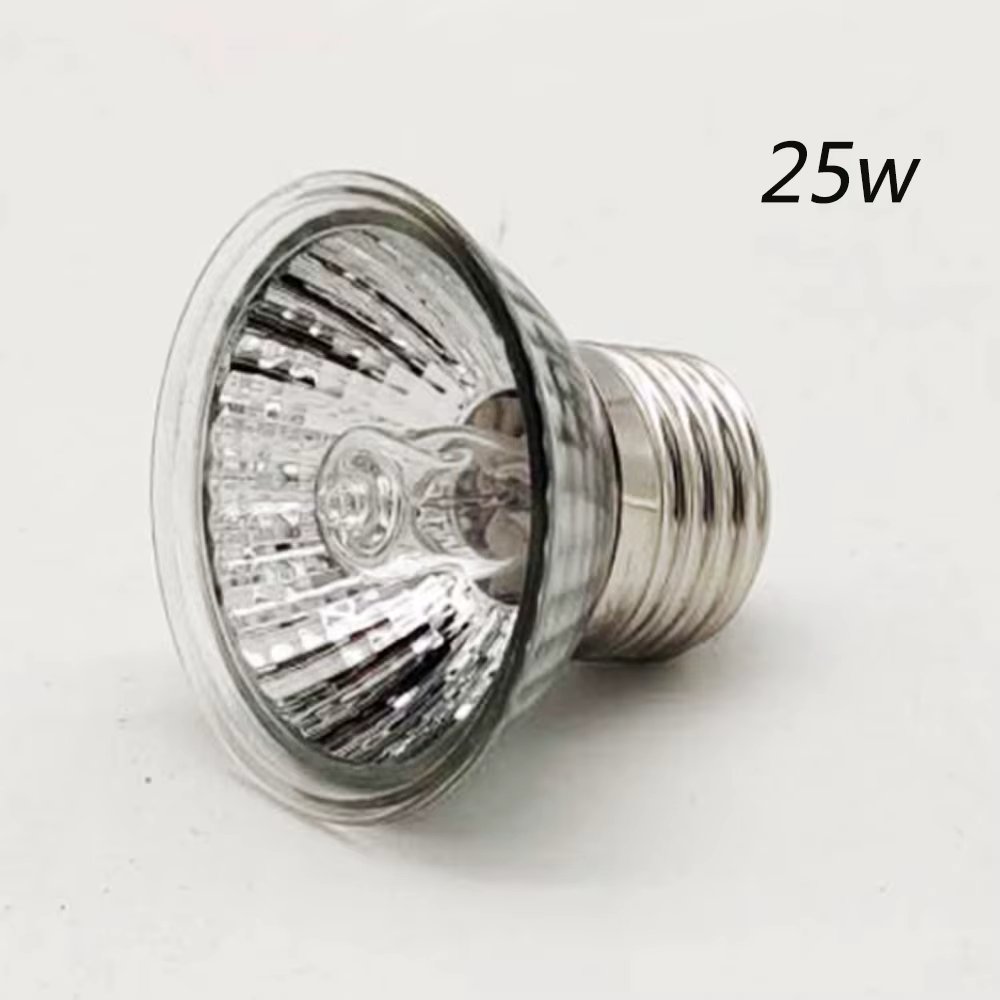 25W