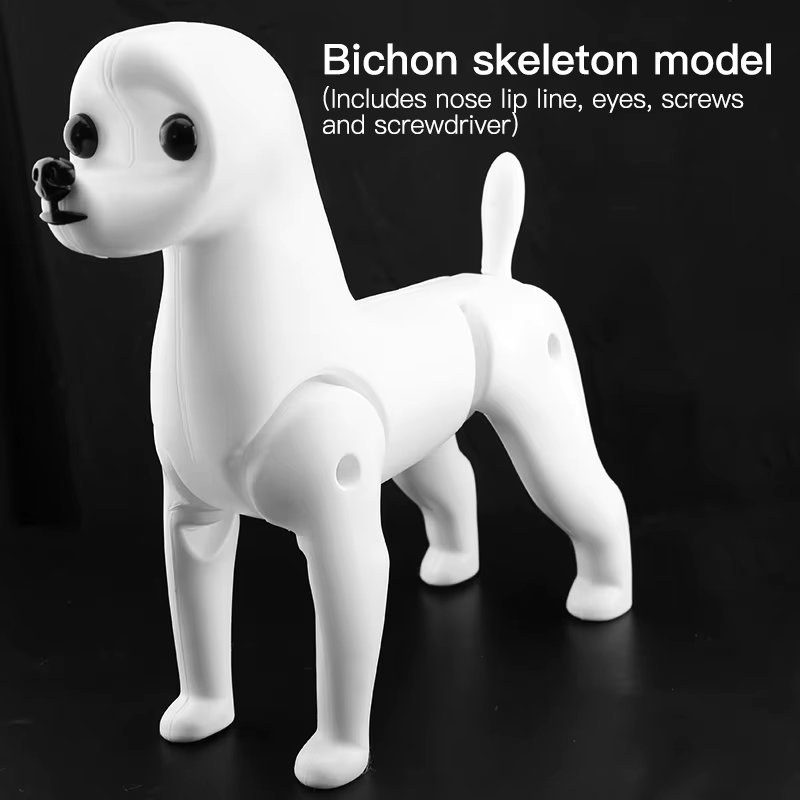 Bichon Model