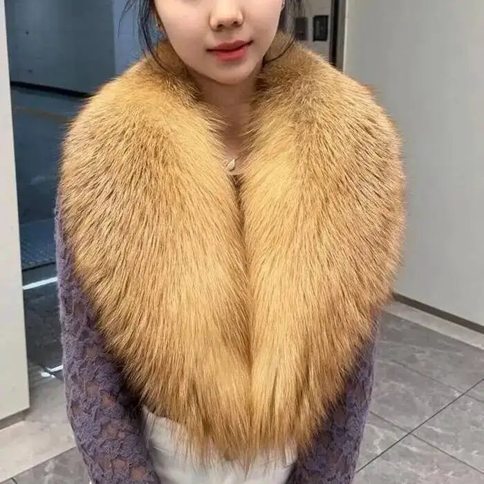 Red Fox