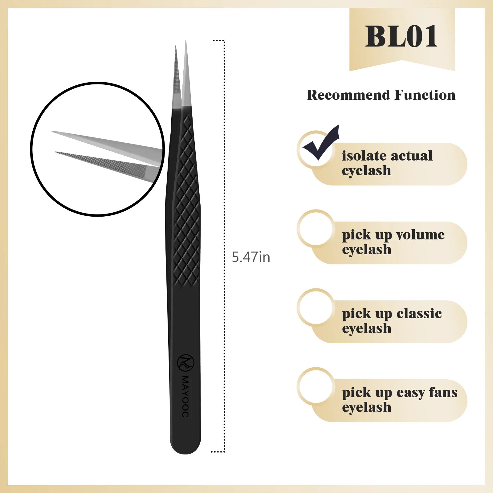 BL-01