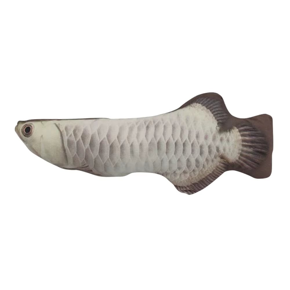 Silver Arowana