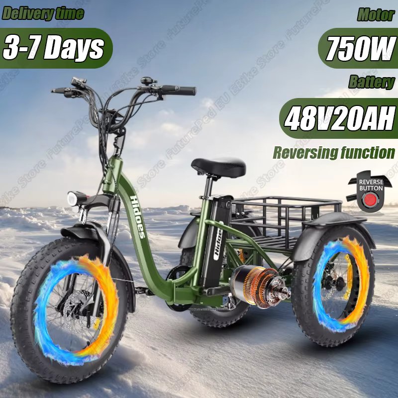Electro Tricycle 750W Motor 48V20AH Removable Battery Can reverse Aldult Electro Trike 20*4.0 Inch Fat Tire Aldult Cargo Ebike