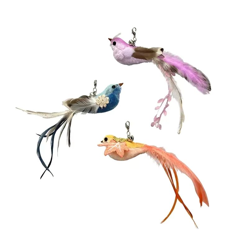 only-Bird