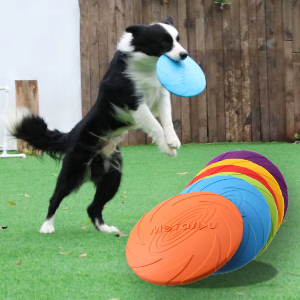 Multicolor Dog Frisbeed Toy Pet Dog Outdoor Game Flying Discs Trainning Interactive Toys Bite Resistant Flying Disc Pet Supplies