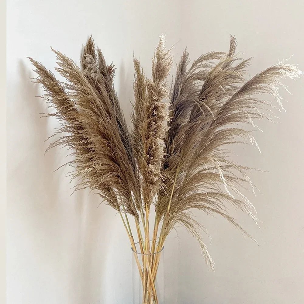 Natural BrownGray