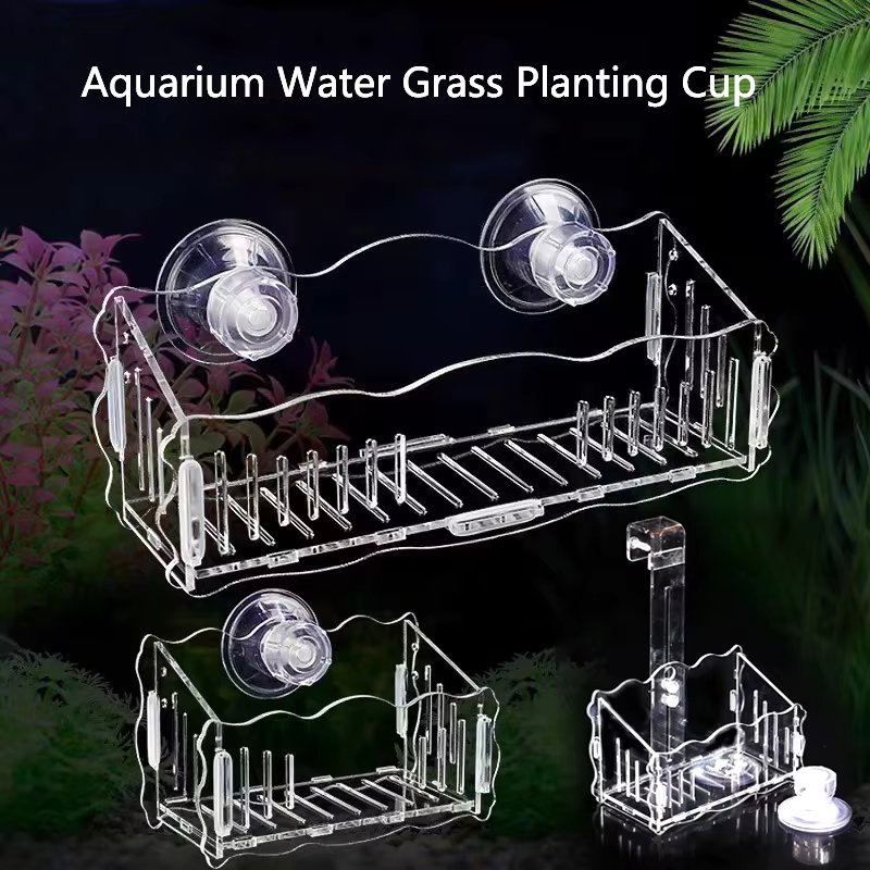 Hanging Fish Tank Crystal Acrylic Pot Polka Aquarium Decoration Water Planting Cylinder Cup Feeding Accessories with SuctionCup