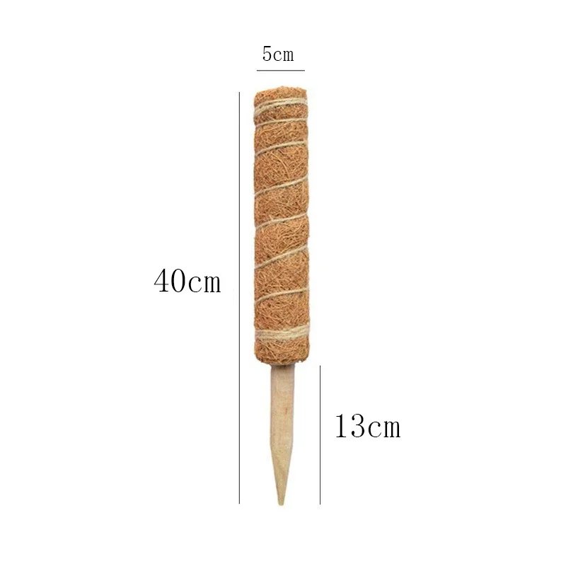 40cm
