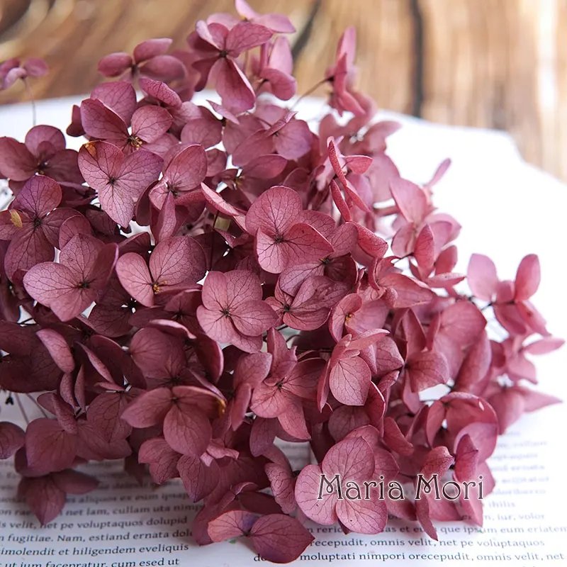 Color S016
