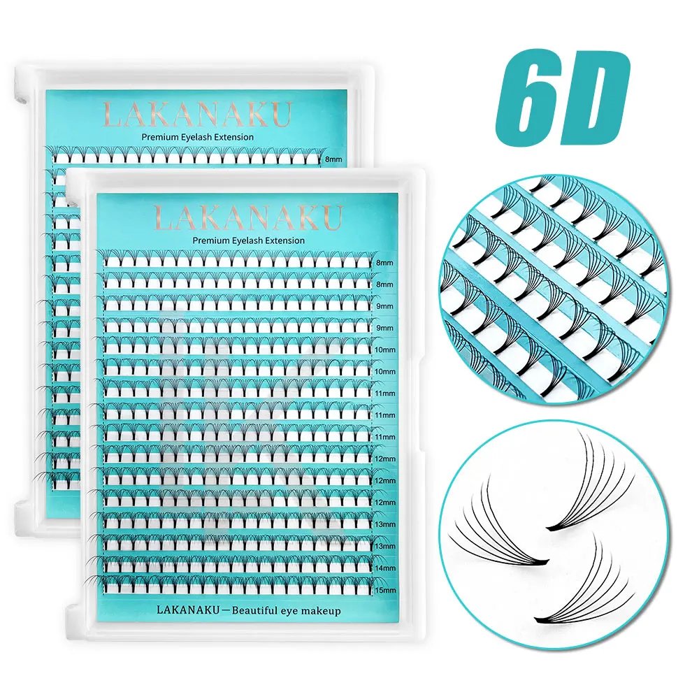 6D