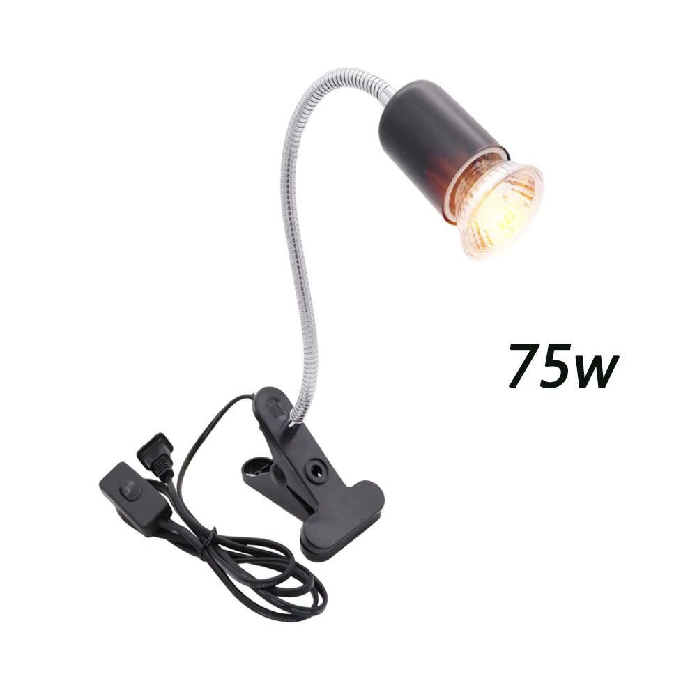 Black holder and 75w