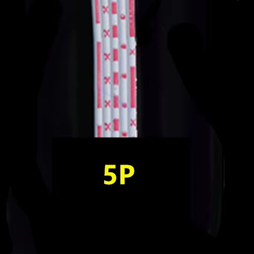 5P