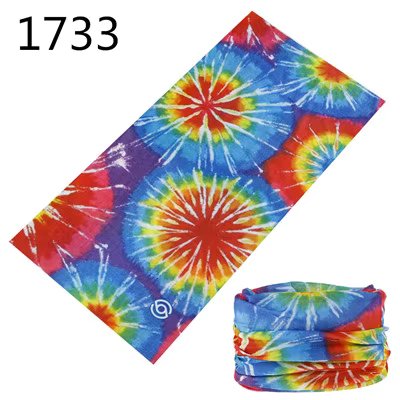 1733