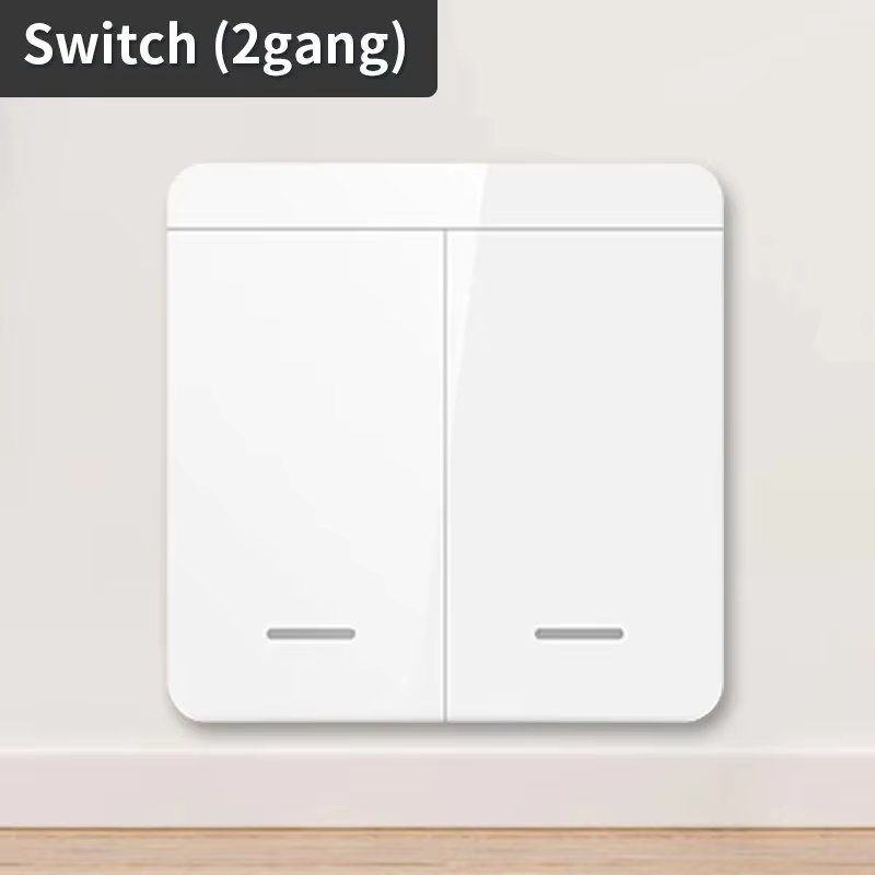 2Gang Switch