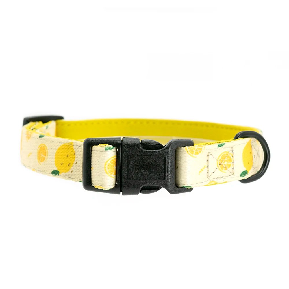 Collar