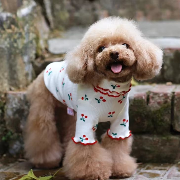 Pure Cotton Cherry Print Wave Side Lapel Top Dog Clothes Pet Clothes Autumn Pet Clothes Sweaters for Pets Dog Christmas Sweater
