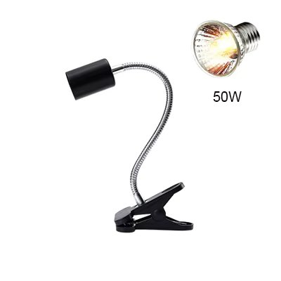 holder and 50W