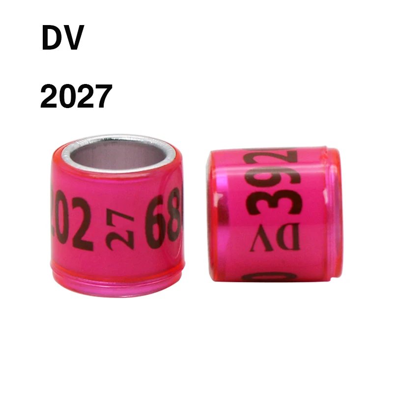 DV 2027