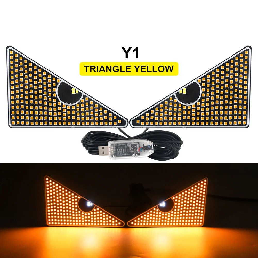 Y1