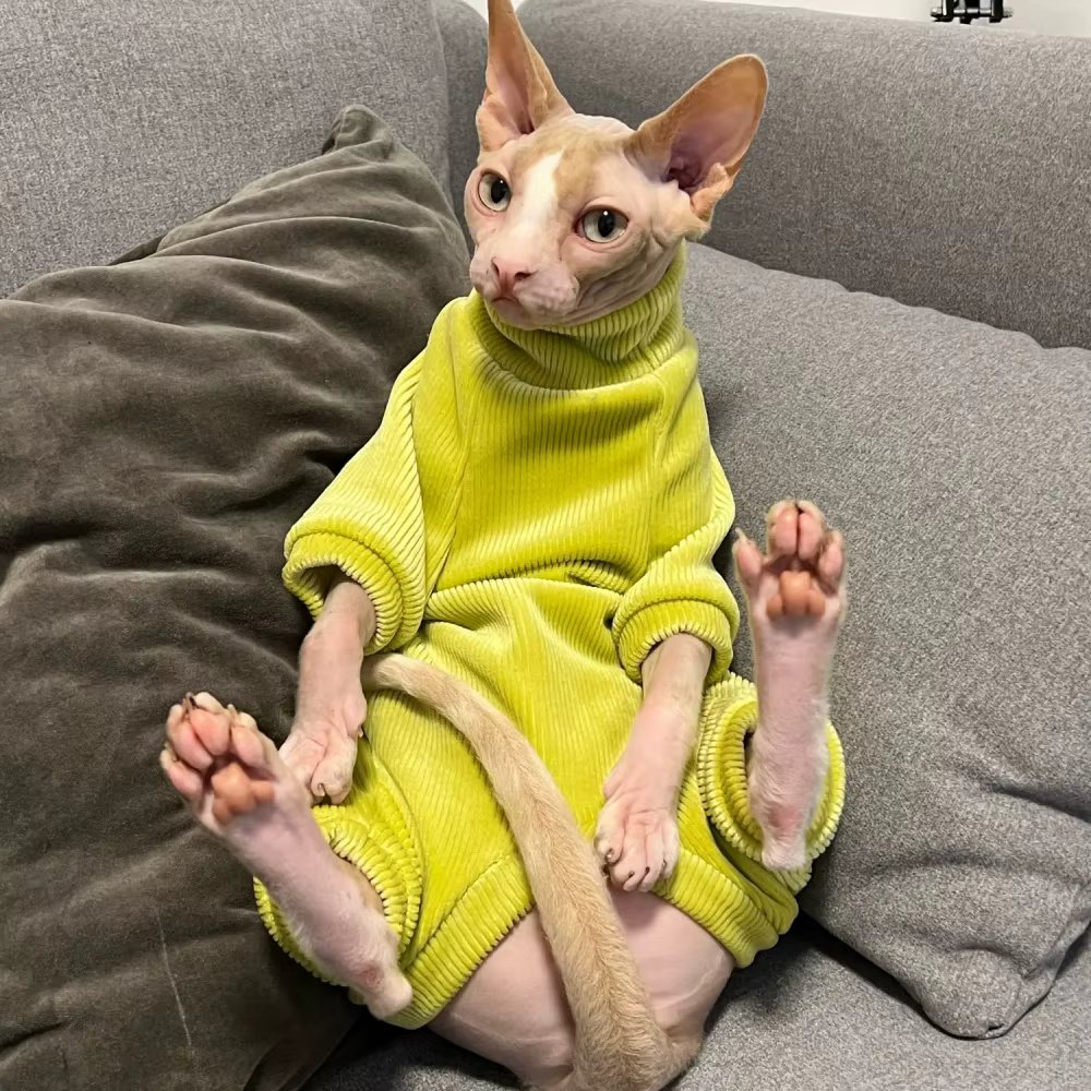 Sphnyx Clothes for Cat, Thick Fleece Coat Long sleeves Turtleneck Sweater for Kittens 4-legged Loungewear for Kittens in Winter