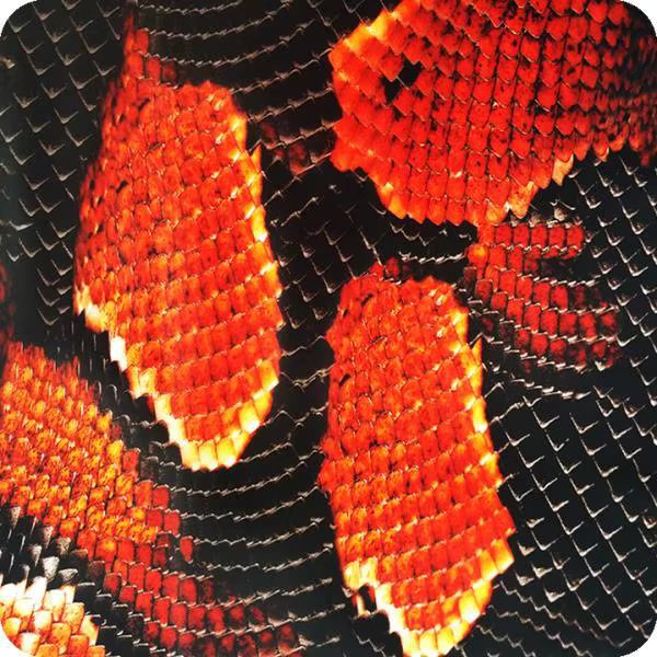 HPA-003 hydroprint film water transfer printing snake skin measurements: width: 50cm. Length: 100cm