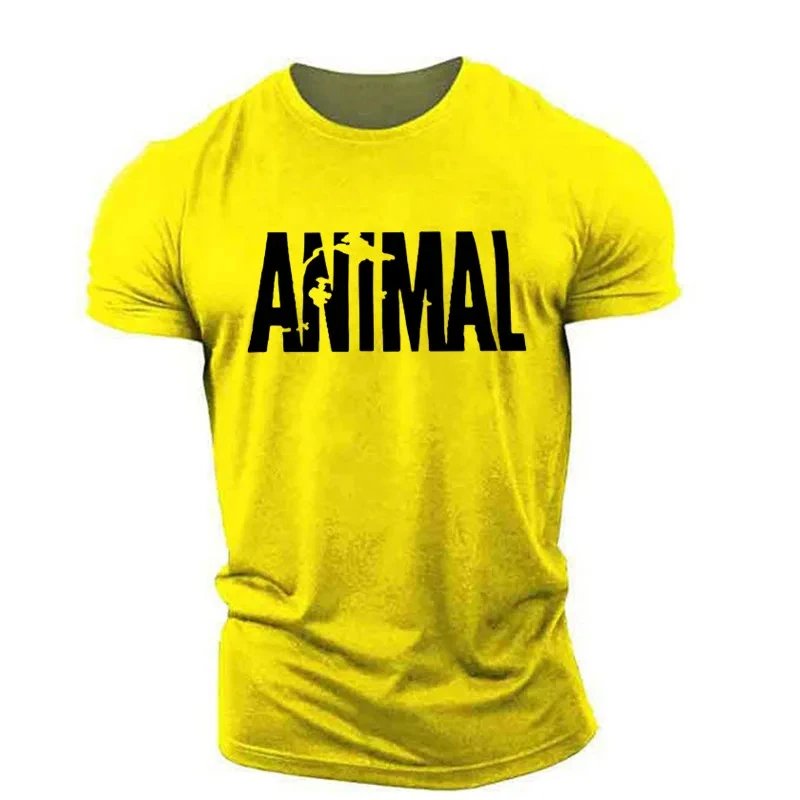 Tshirt-HWH34982