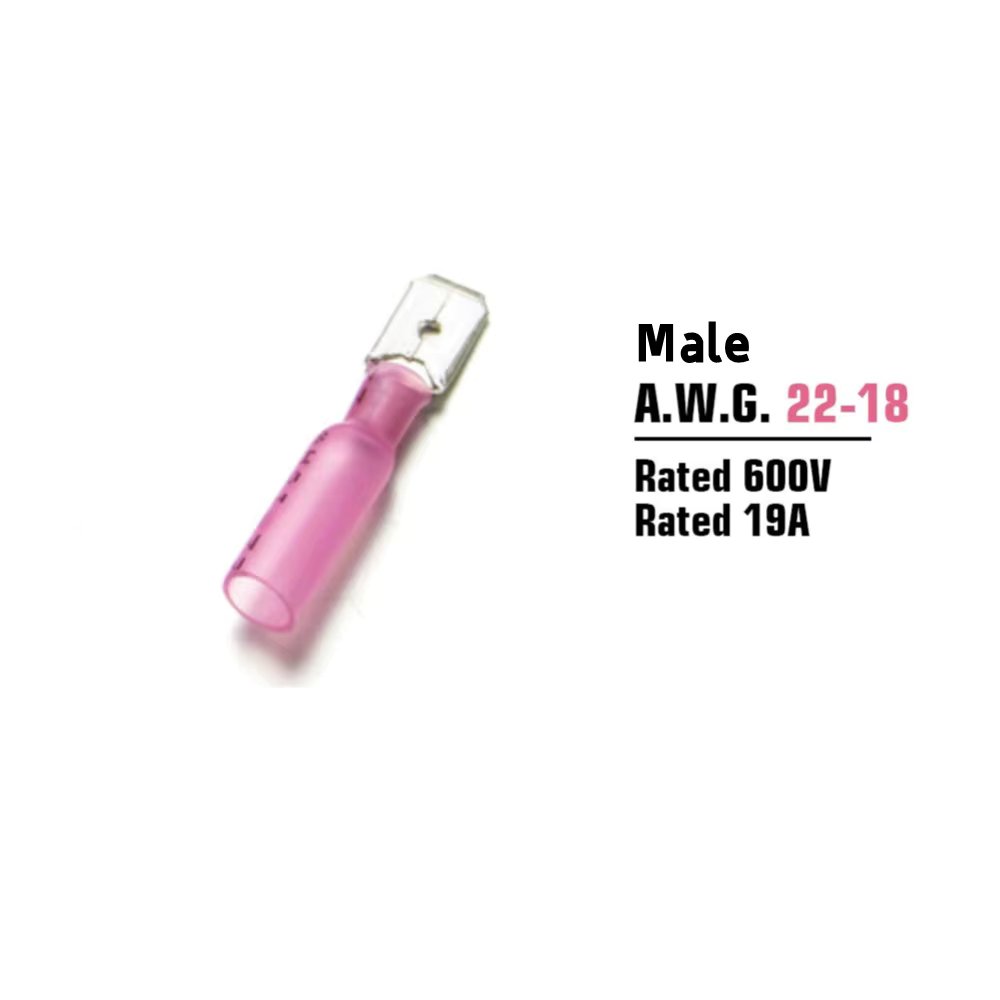 Red Male