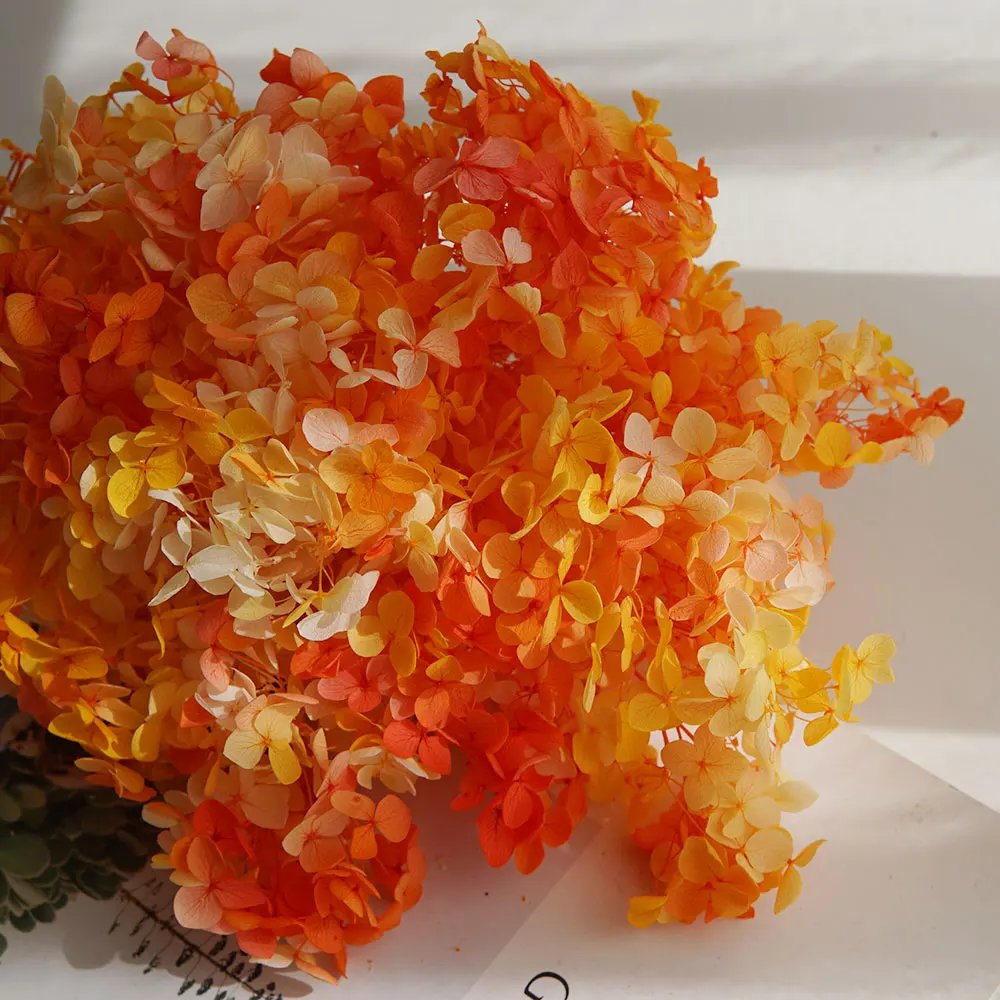 Gradient Color 171