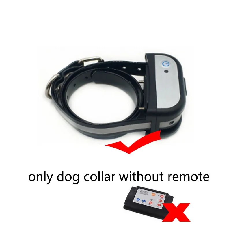 only dog collar